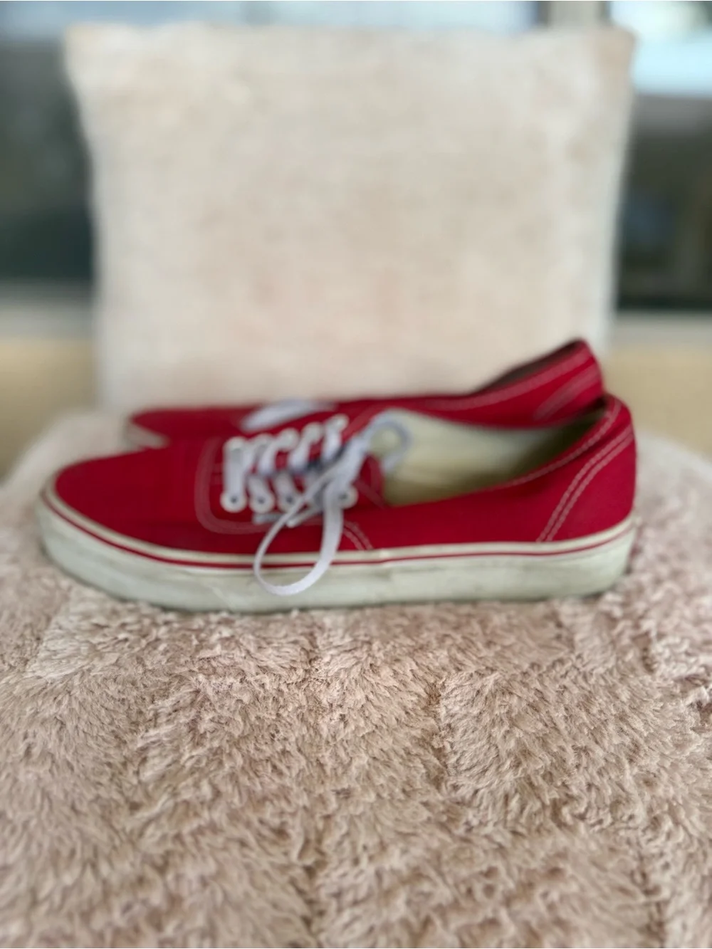 Vans Red Canvas Low-Top Sneakers